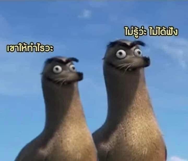 โปรไฟล์