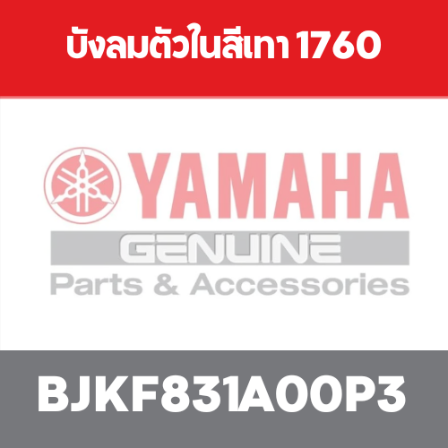 บังลมตัวในสีเทา 1760