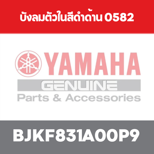 บังลมตัวในสีดำด้าน 0582