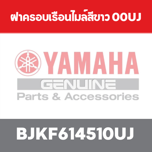 ฝาครอบเรือนไมล์สีขาว 00UJ