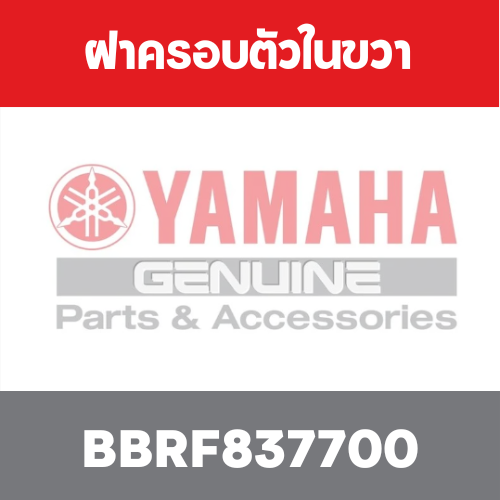 ฝาครอบตัวในขวา	