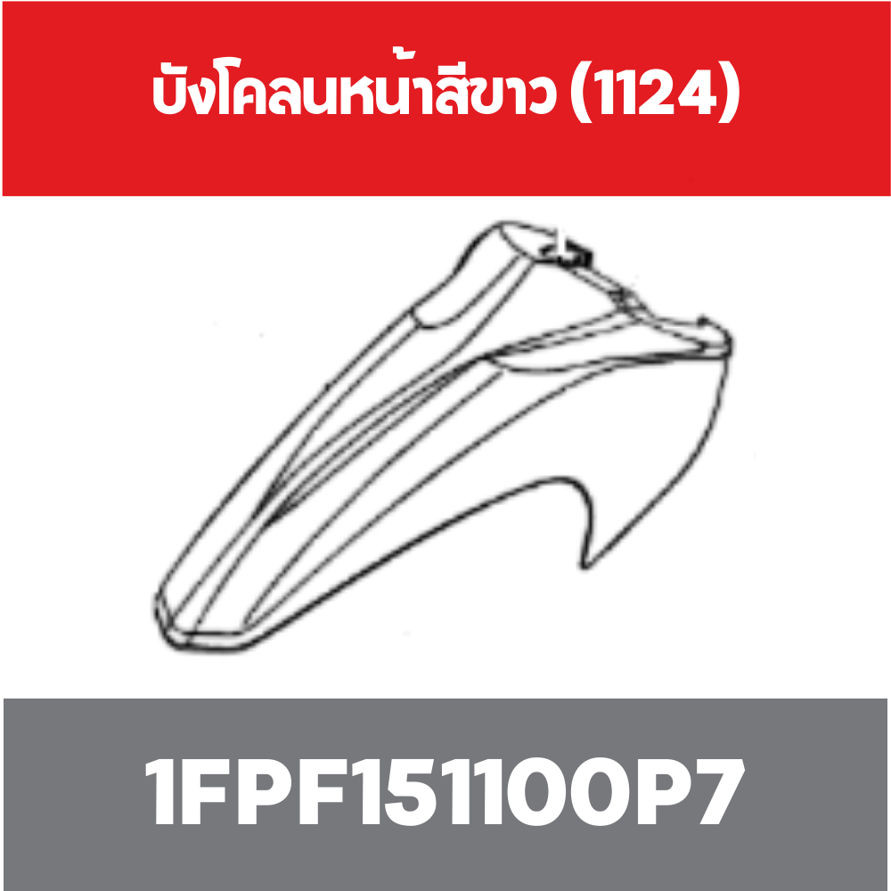 บังโคลนหน้าสีขาว (1124)