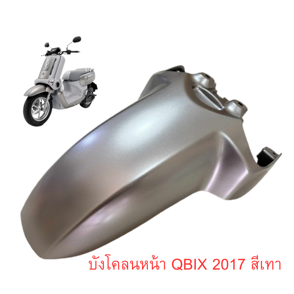 บังโคลนหน้าสีเทา (1609, MLYN2)